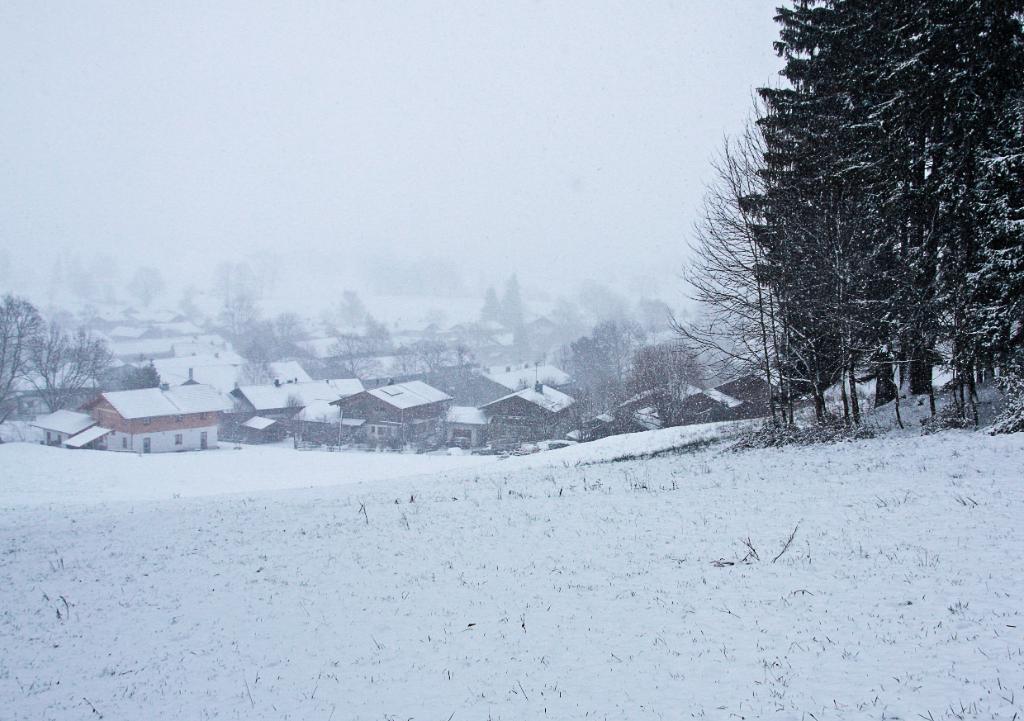 Schneefall in Derndorf.jpg - Schneefall in Derndorf